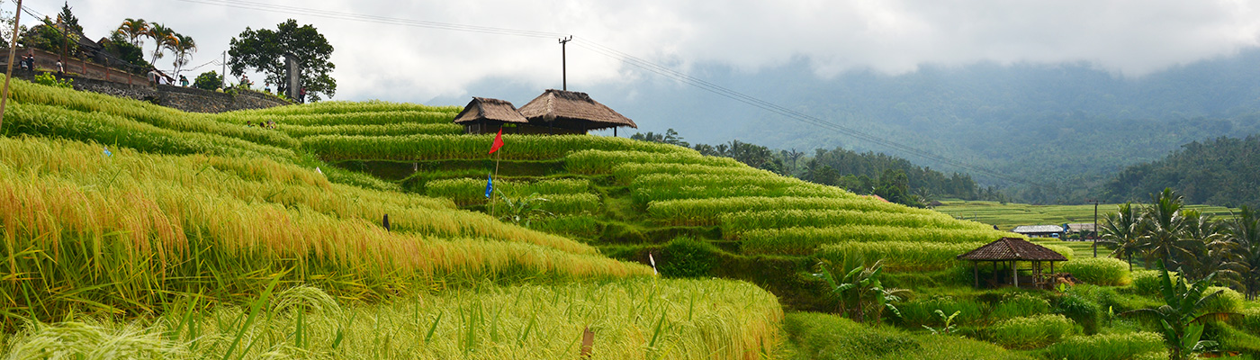 “Rumours are carried by haters, spread by fools, and accepted by idiots”